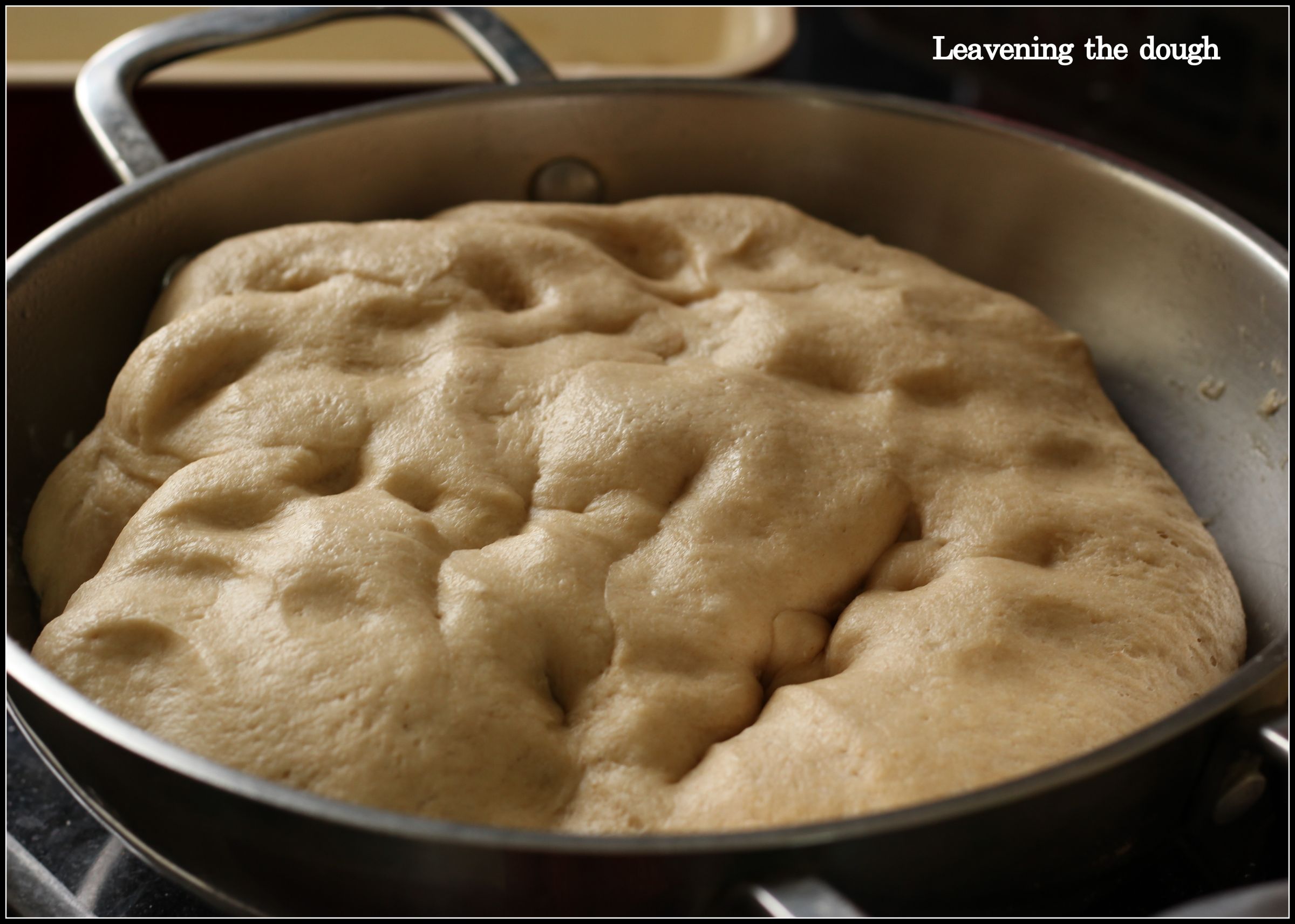 Brown Bread Baked in Convection Oven 5 Steps (with Pictures