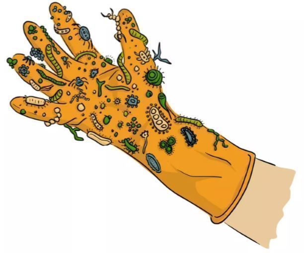 COVID-19 : Protect Hands With Disinfectant Bag 