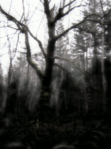 Just for Fun -animated