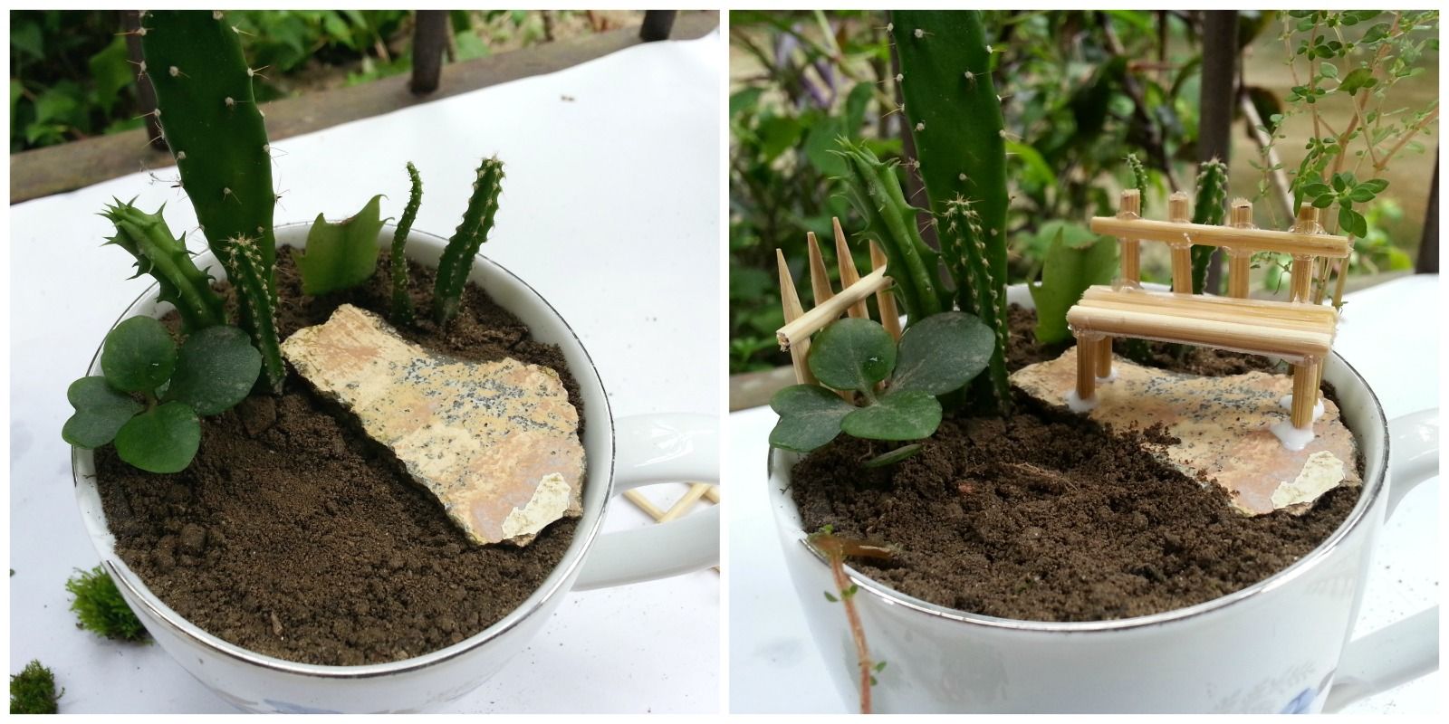 DIY Cup Garden : 9 Steps (with Pictures) - Instructables