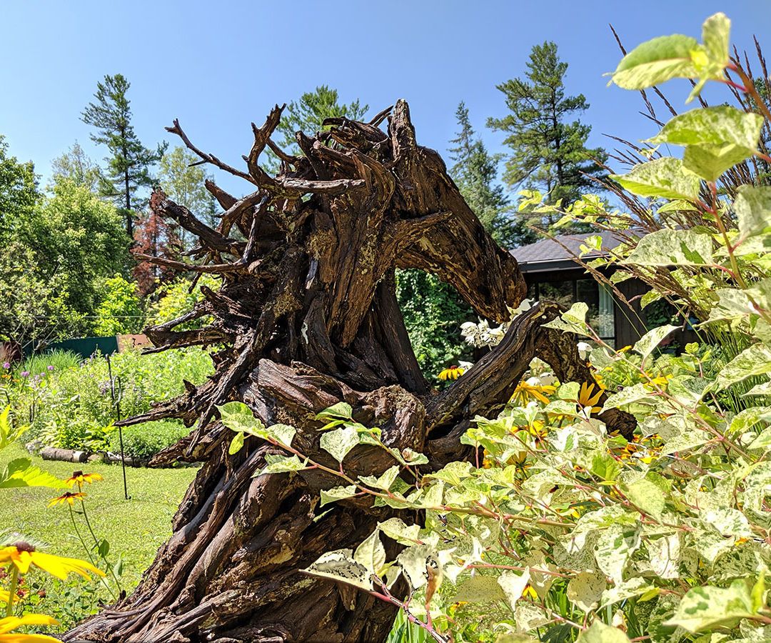 DIY Driftwood Horse Sculpture How-To Build (Reclaimed Wood)