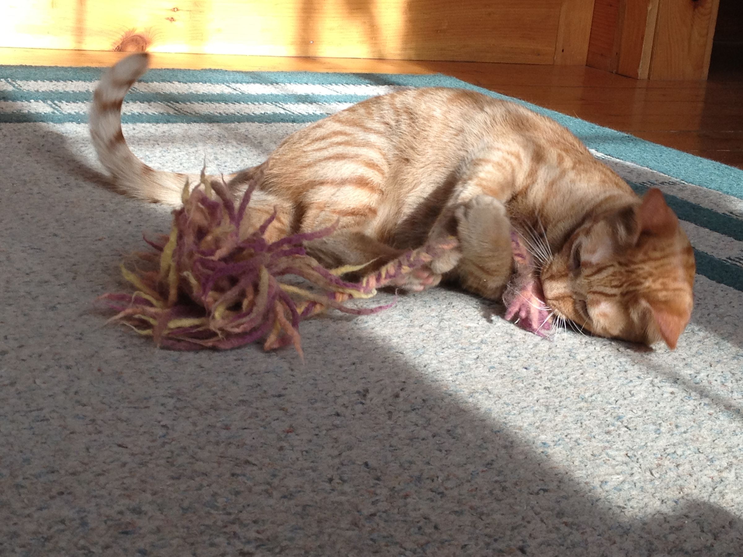 Felted Cat Toy - Easy, Free, No Knitting Required