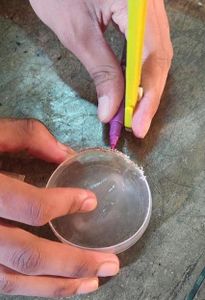 Making the National Emblem of India