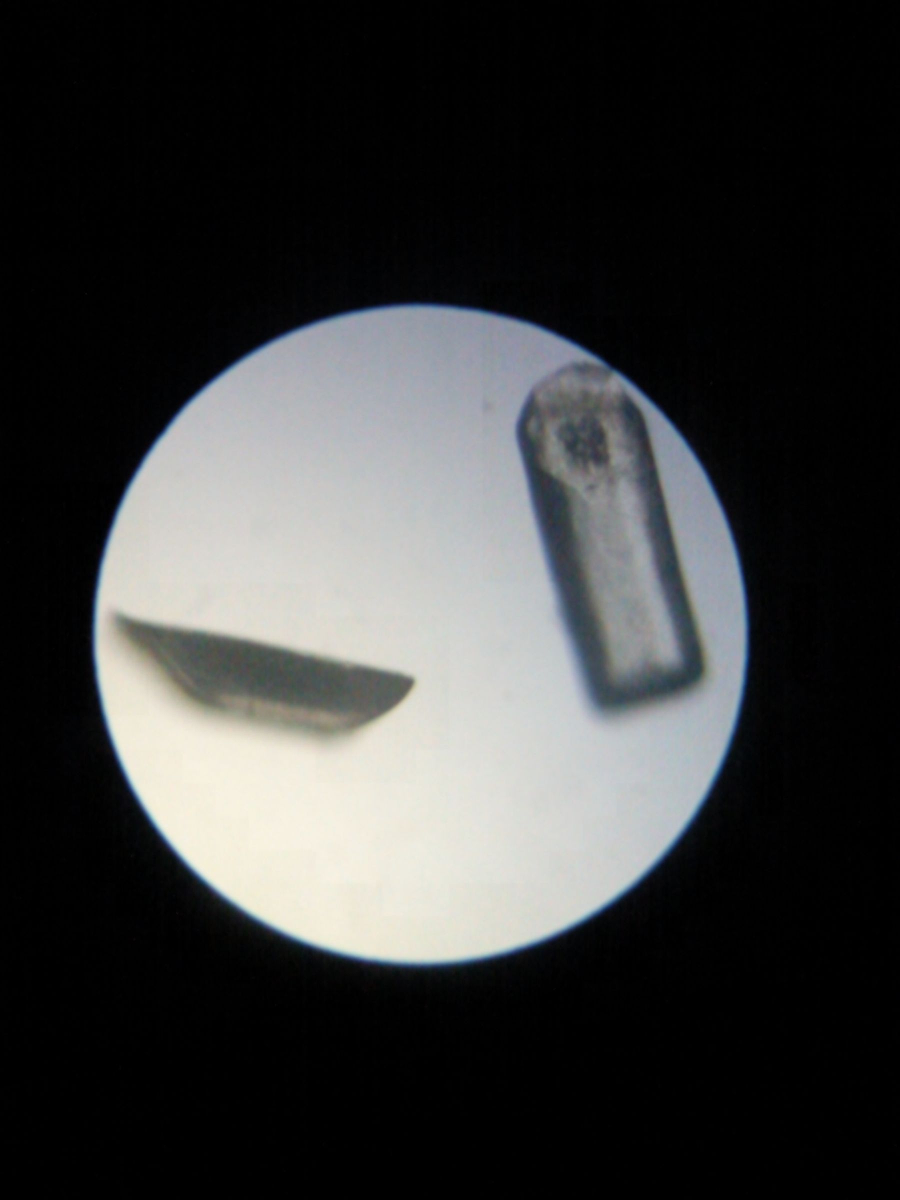 Microscope Adapter for Cell Phone