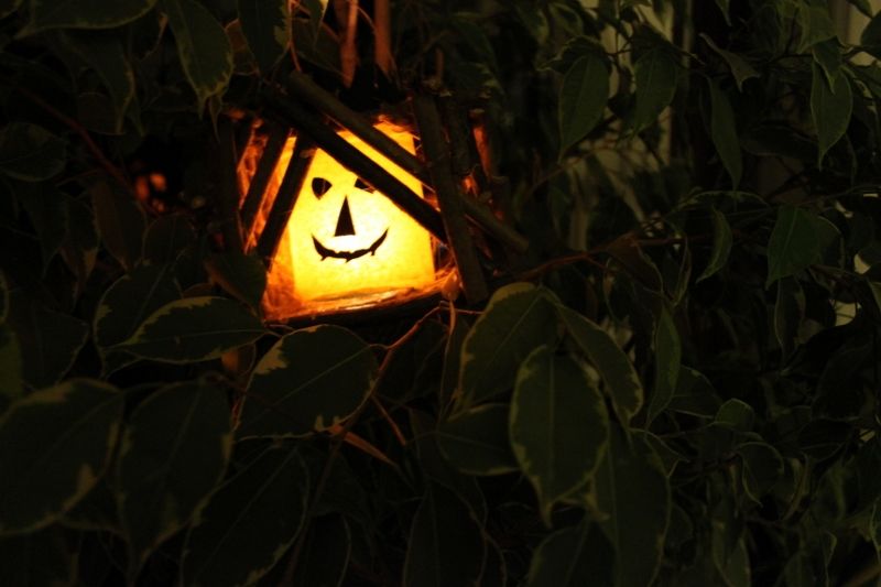 Natural Twig Lamp