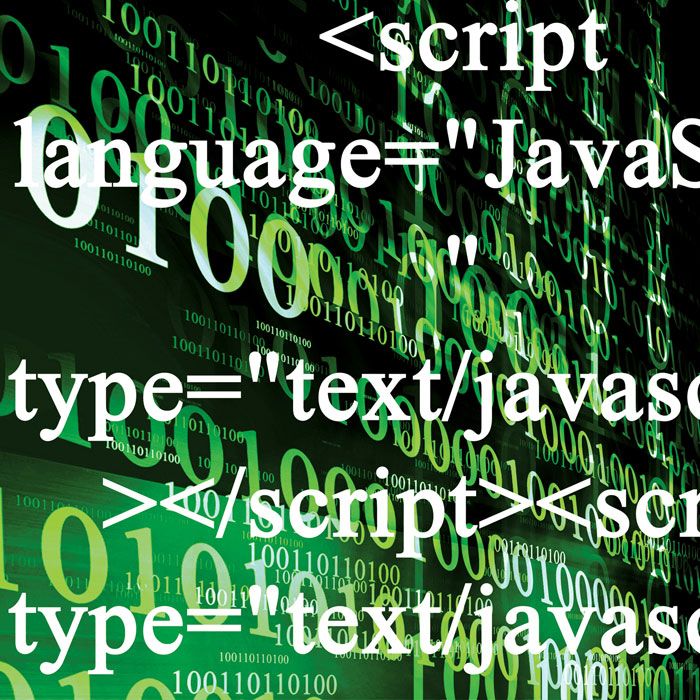 Learning Java: Your First Program!