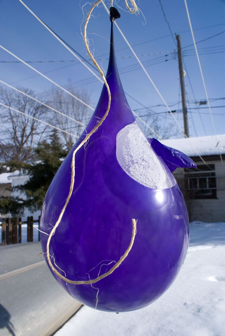 lonely ice teardrops