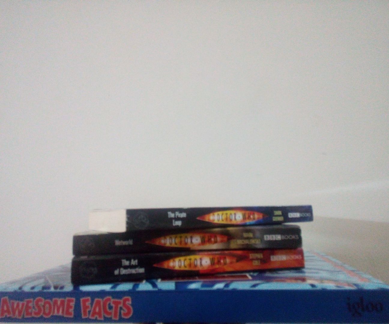 Invisible Fun Book Shelf