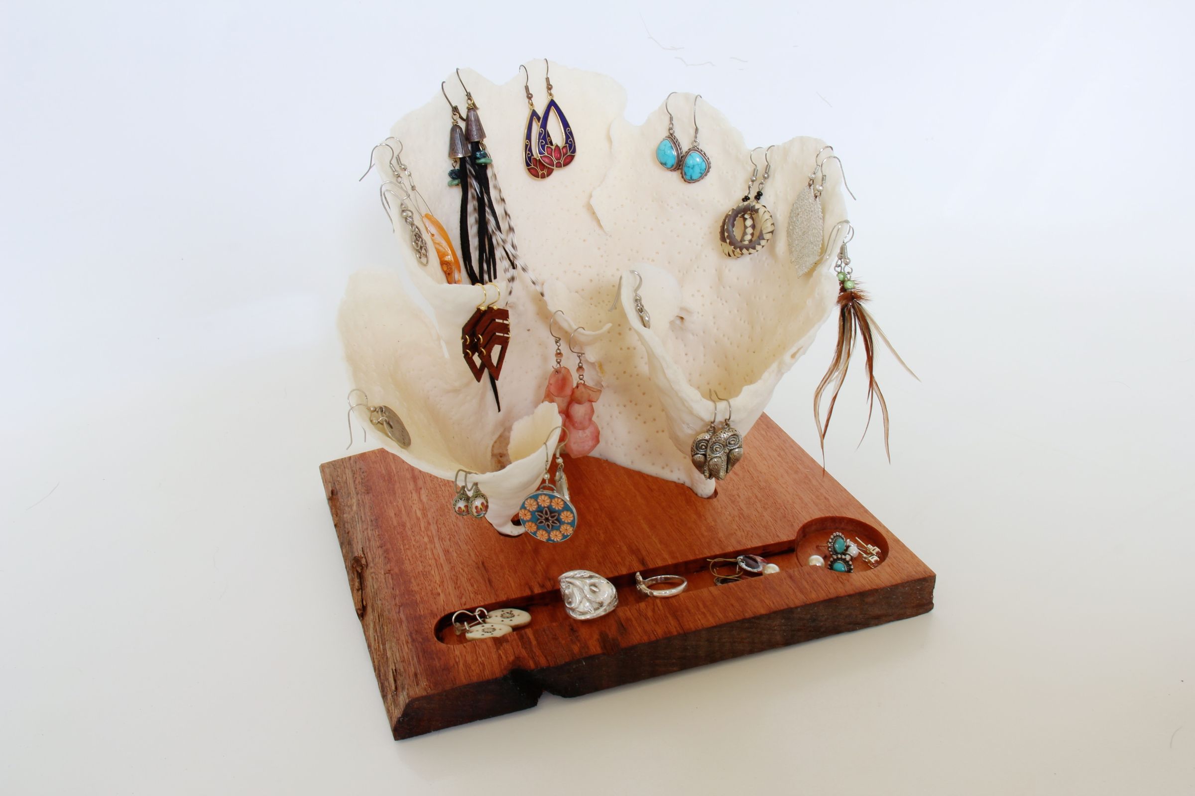 Coral Earring Display