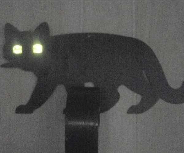 Child's Play Scare Cat