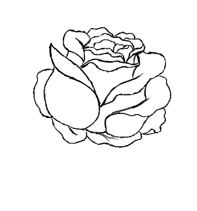 Red Rose Easy Drawing 733x684 How to Draw a Red Rose : 9 Steps - Instructables