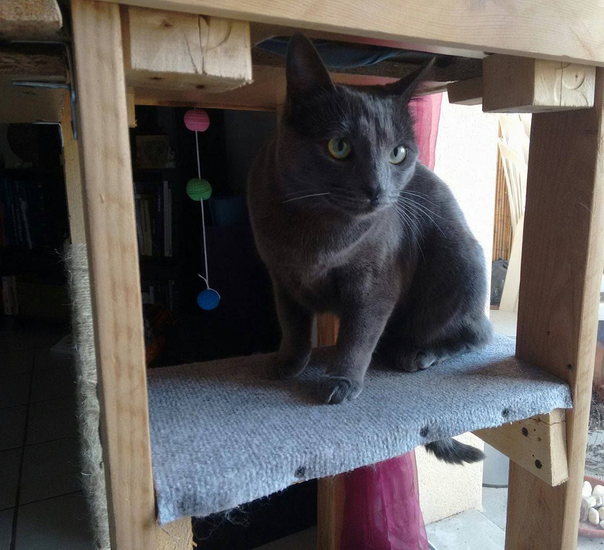 Pallet Cat House on Stilts 10 Steps (with Pictures) Instructables