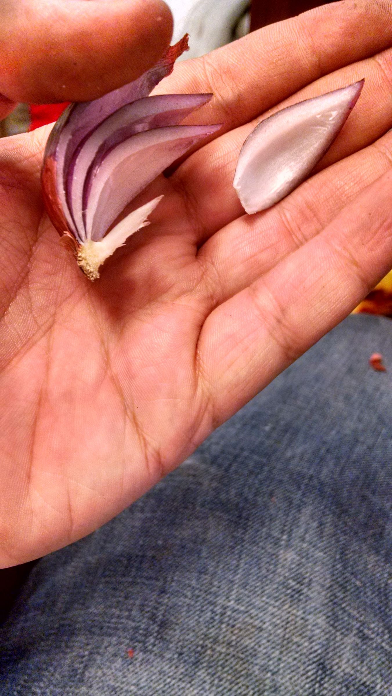 Vegetable Propagation Or, Learn Botany While You Play With Your Food