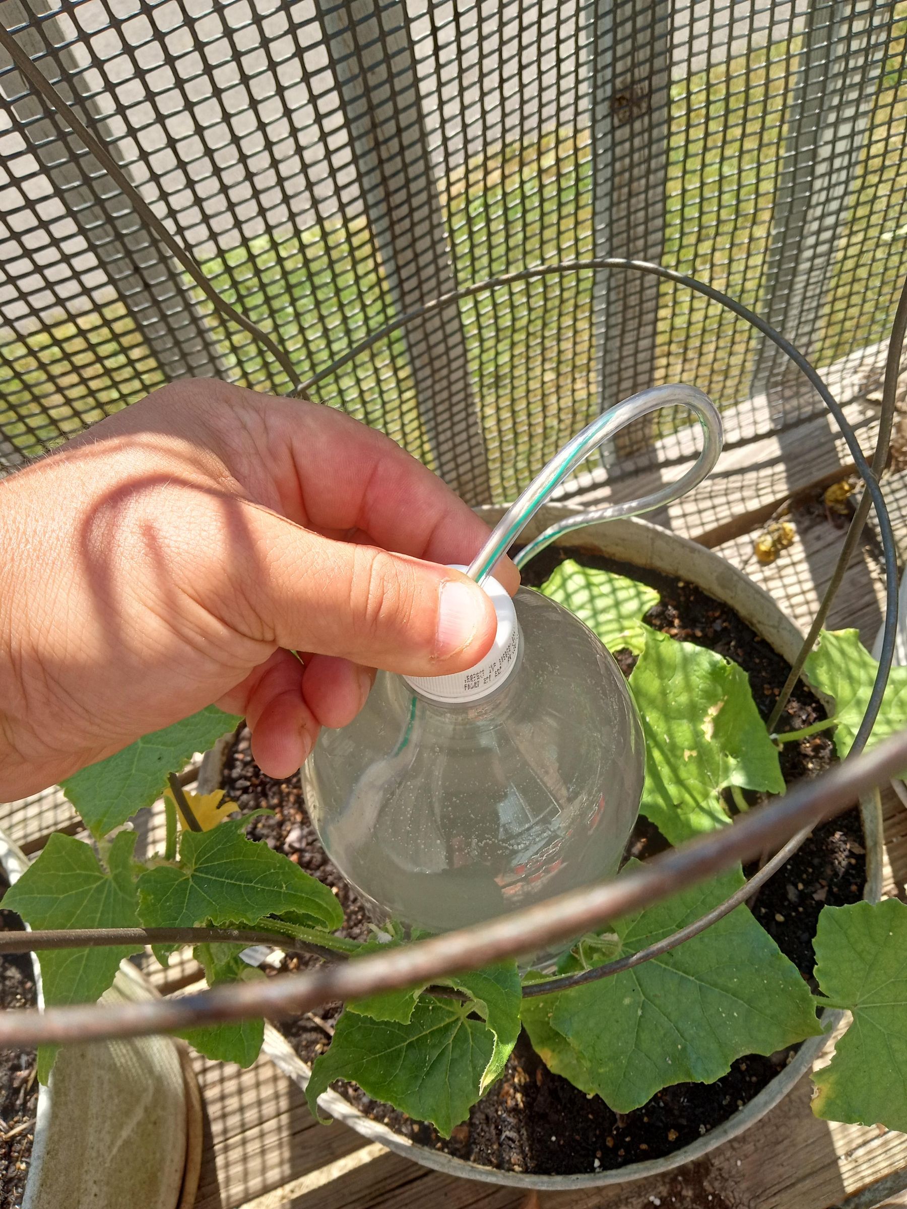 Siphon Irrigation 4 Steps (with Pictures) Instructables