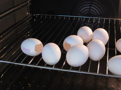 Prepping the Egg Shells