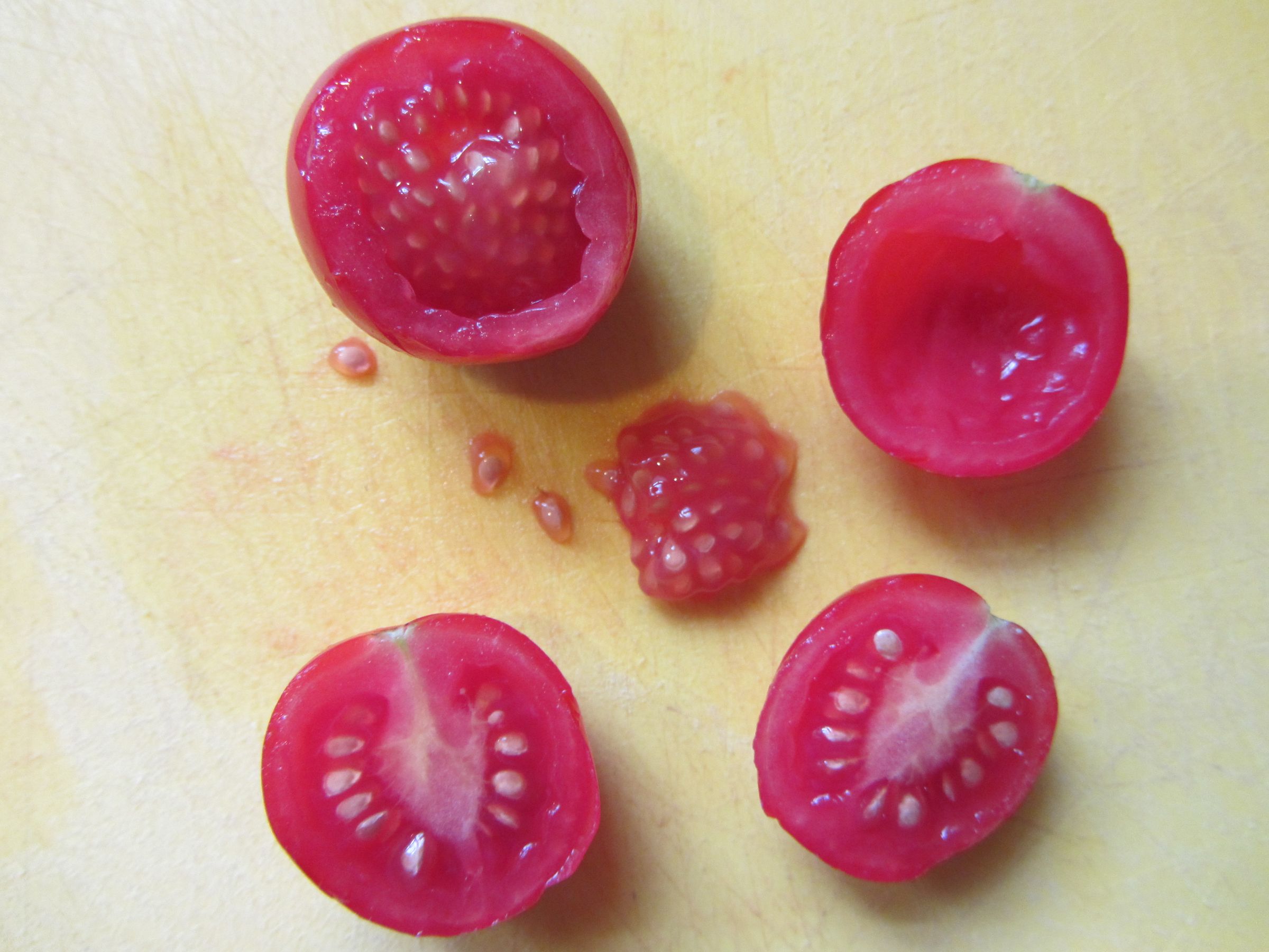 How to Ferment and Collect Tomato Seeds 6 Steps Instructables