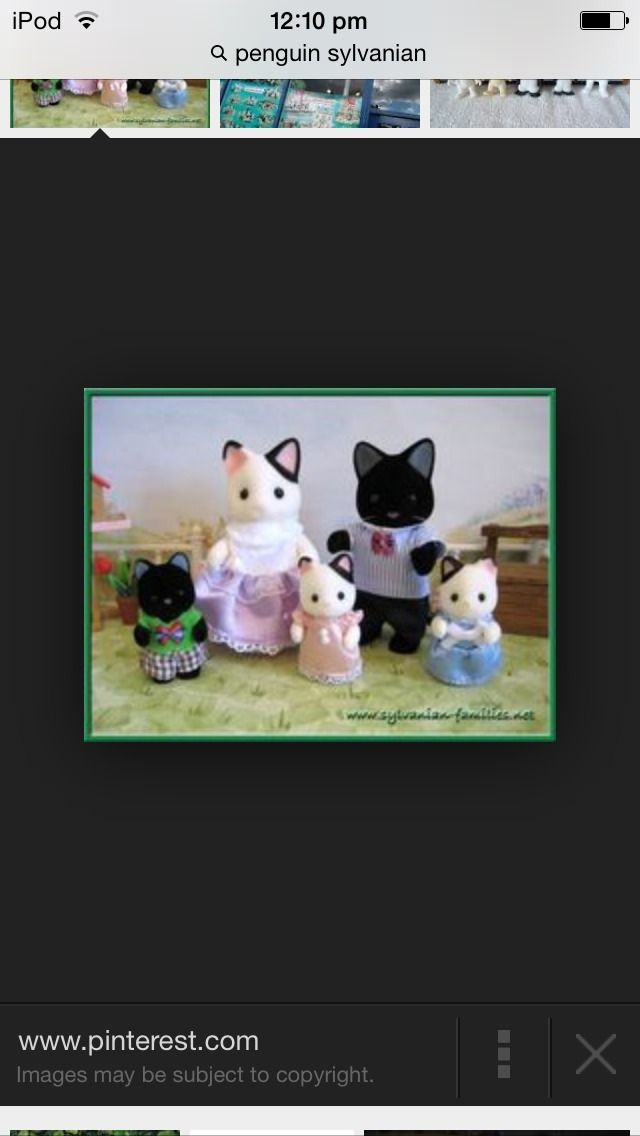 Convince Your Parents to Give You a Pet