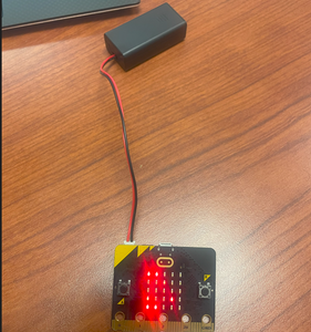 Micro-bit Instructions