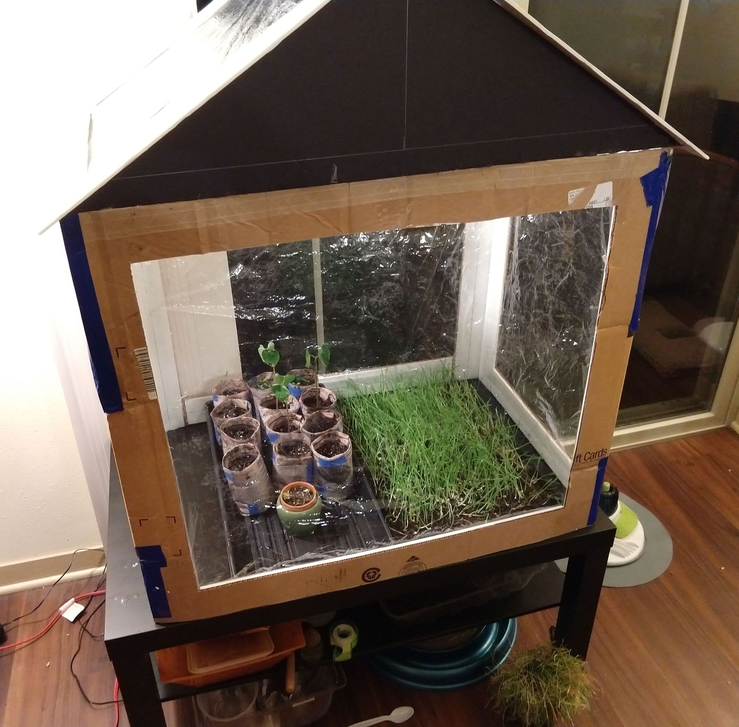 Cardboard Greenhouse 