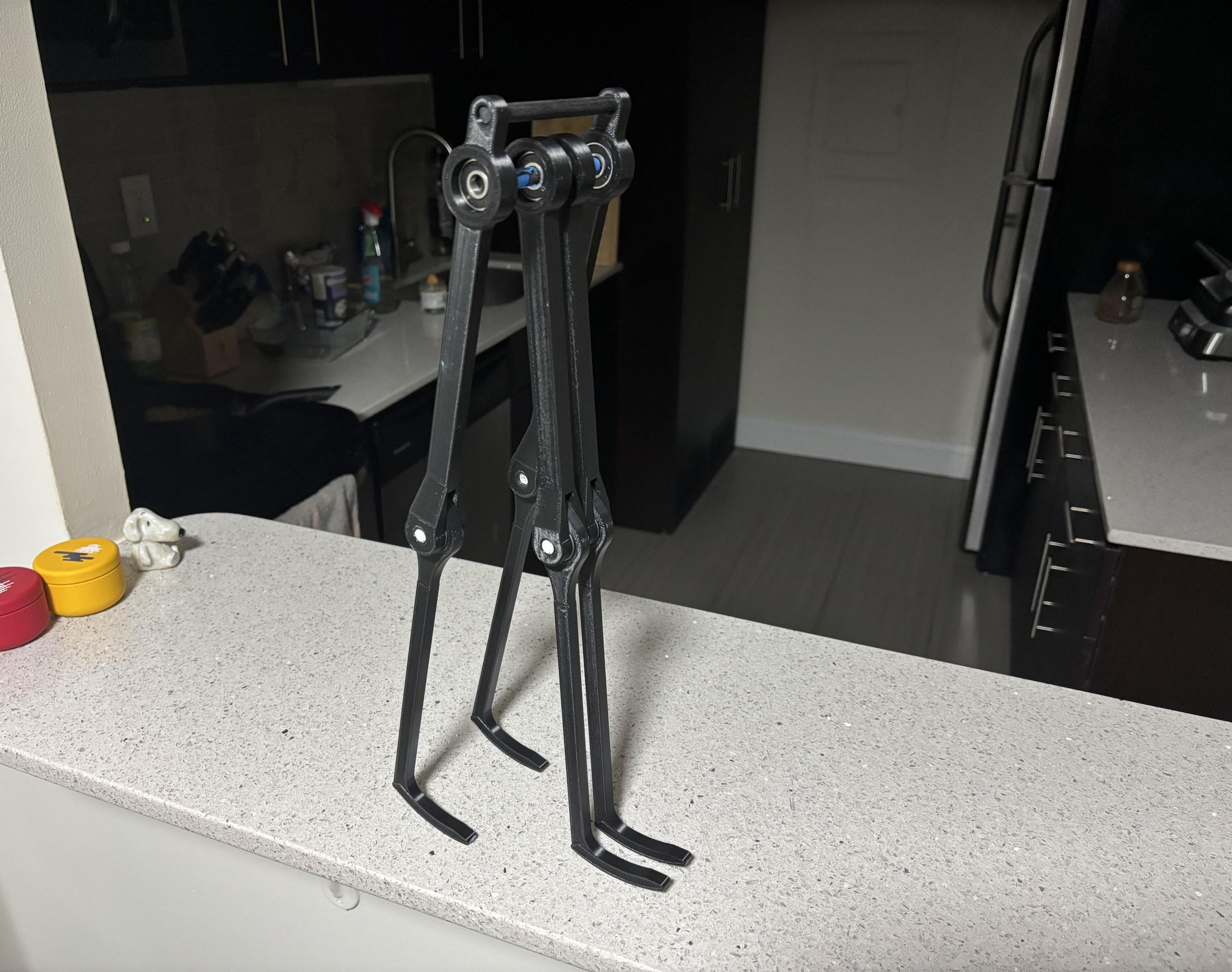 The Fastest Passive Runner on Earth