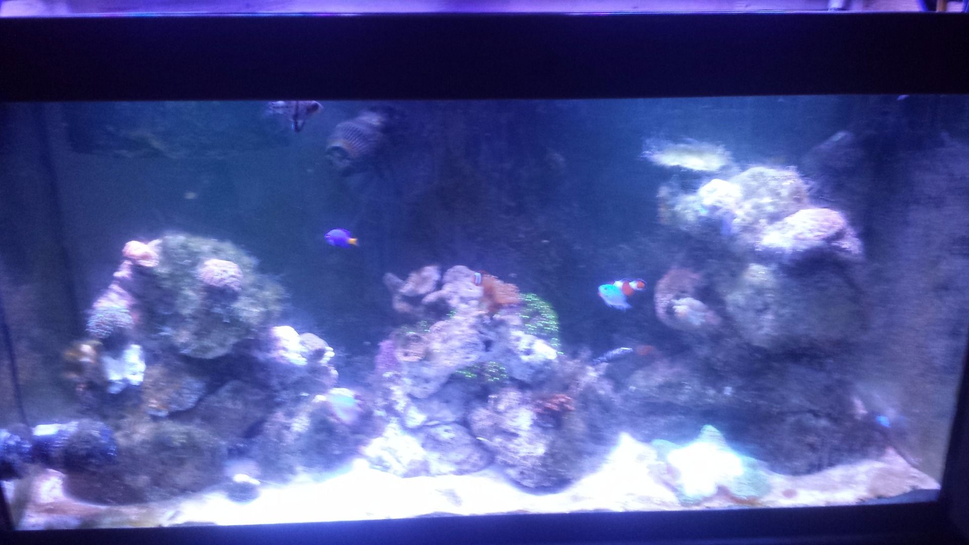Easy and Cheap Aquarium Moonlights 4 Steps Instructables