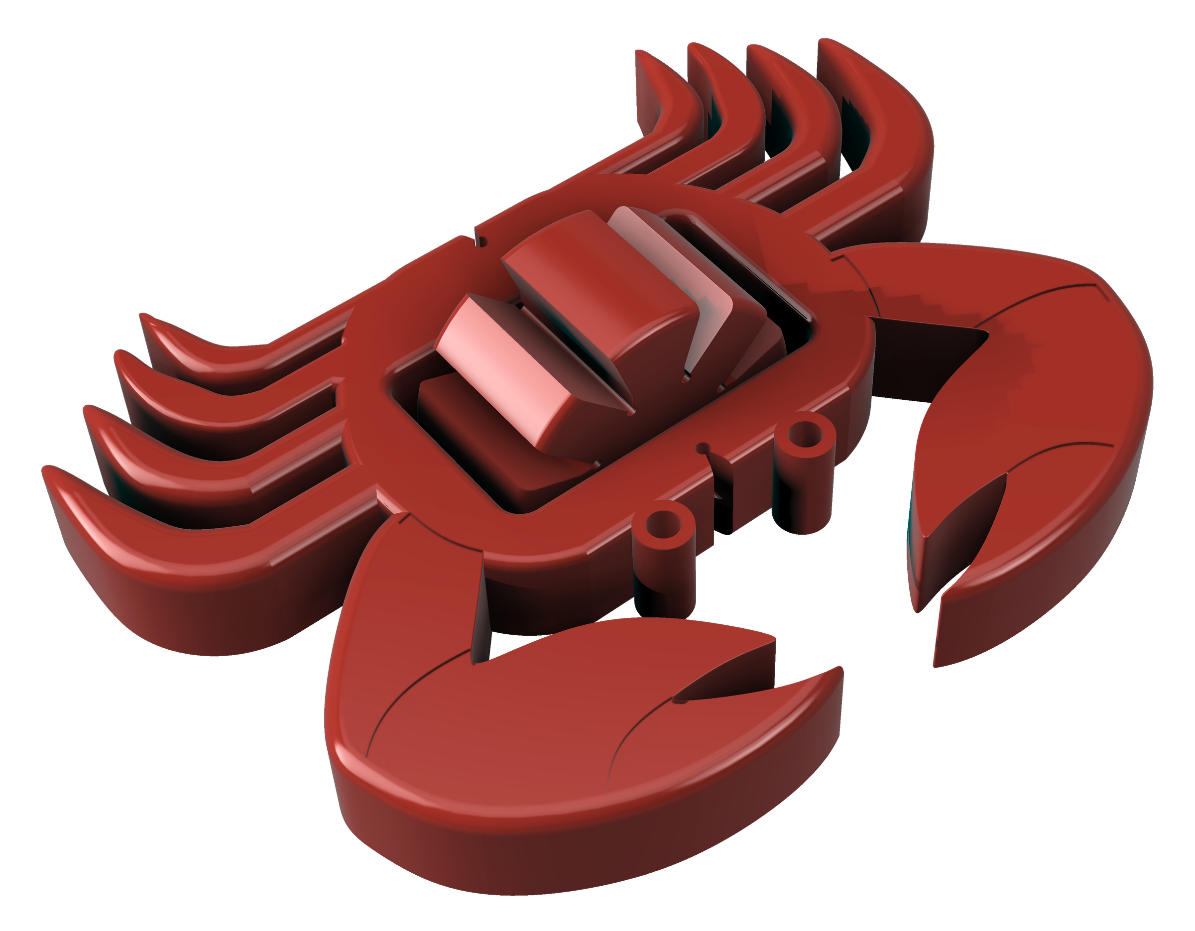 Small Marine Animal Instructables