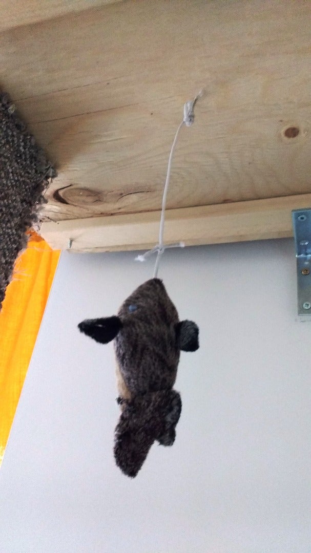 Accessorize and Secure to the Wall