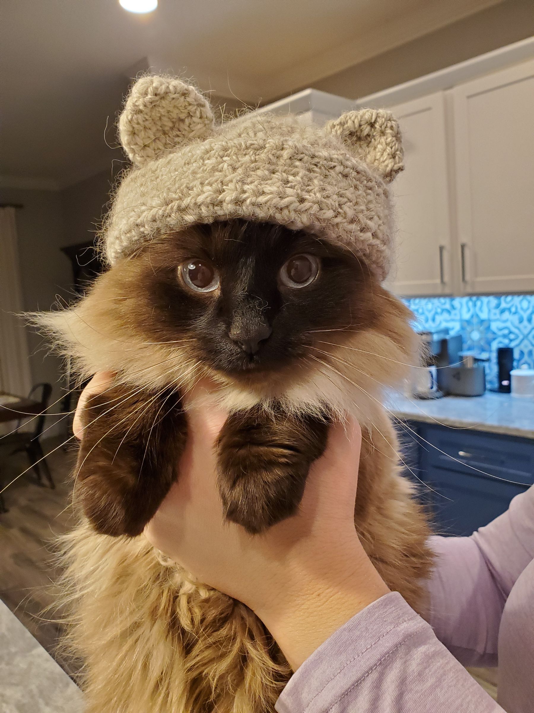 コンビニ支払い❌andwang Fluffy cat knit hat Cat to a Hat : 4 Steps (with Pictures) - Instructables