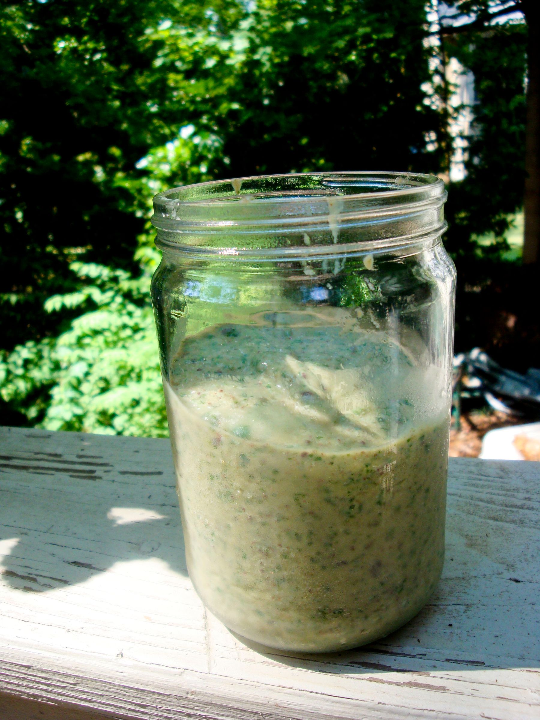 Mint Chocolate Chip Smoothie