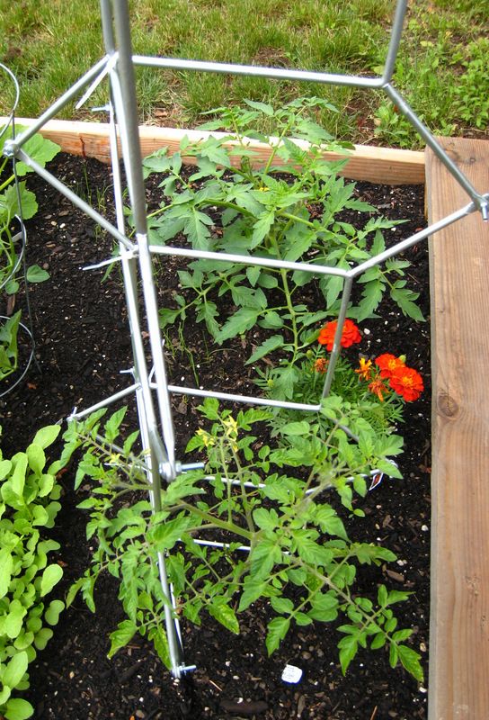 How To: Make Tomato Ladders From the IKEA Salvia Trellis
