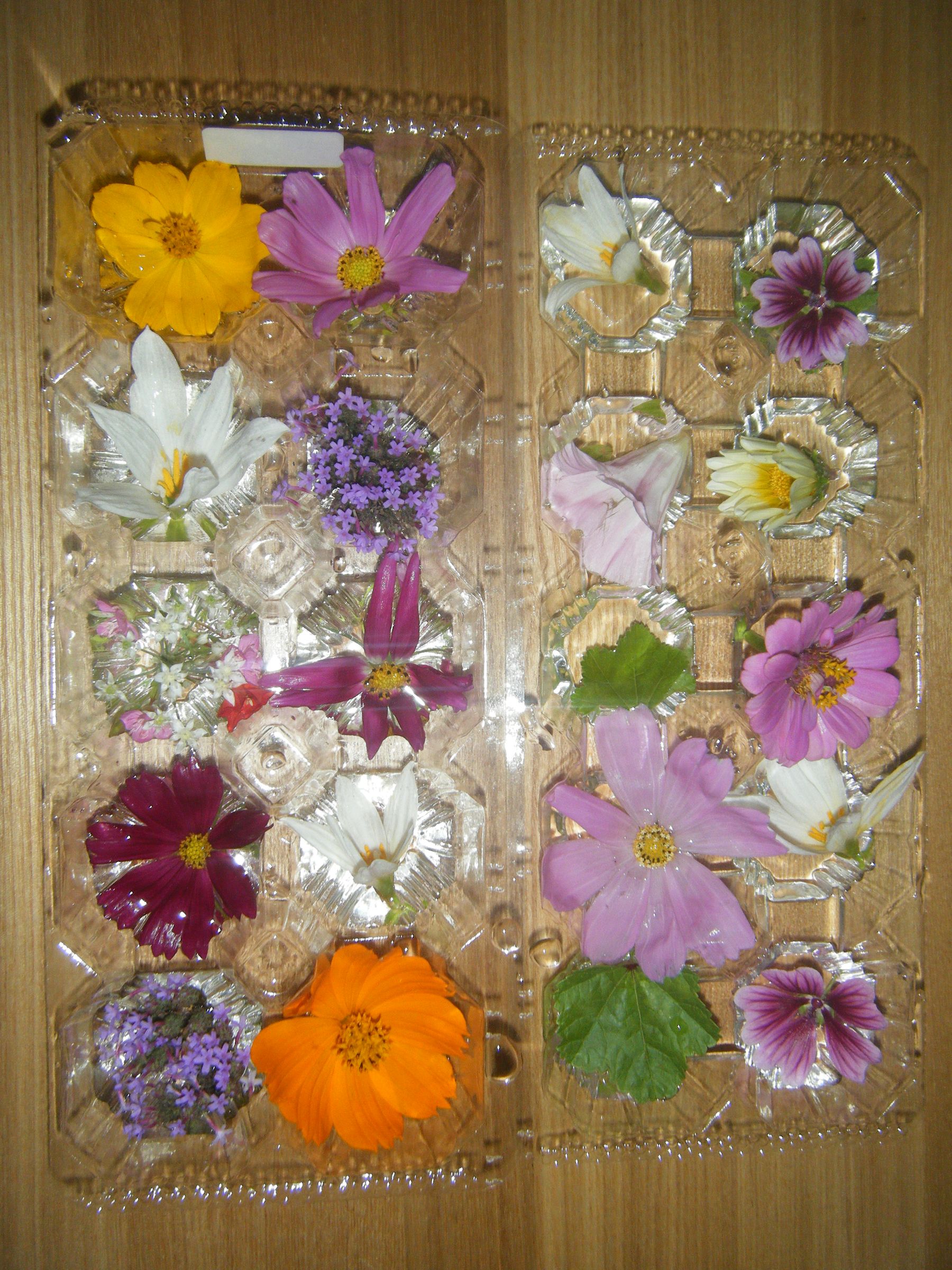 Egg Container Mini Vase