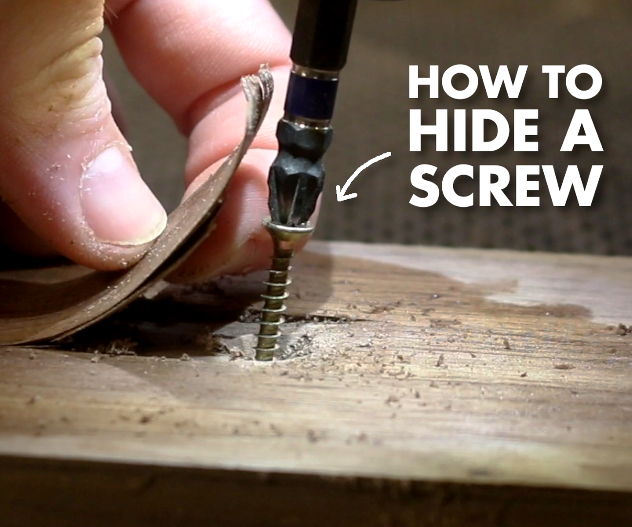 THE BEST Way to Hide a Screw in Wood!