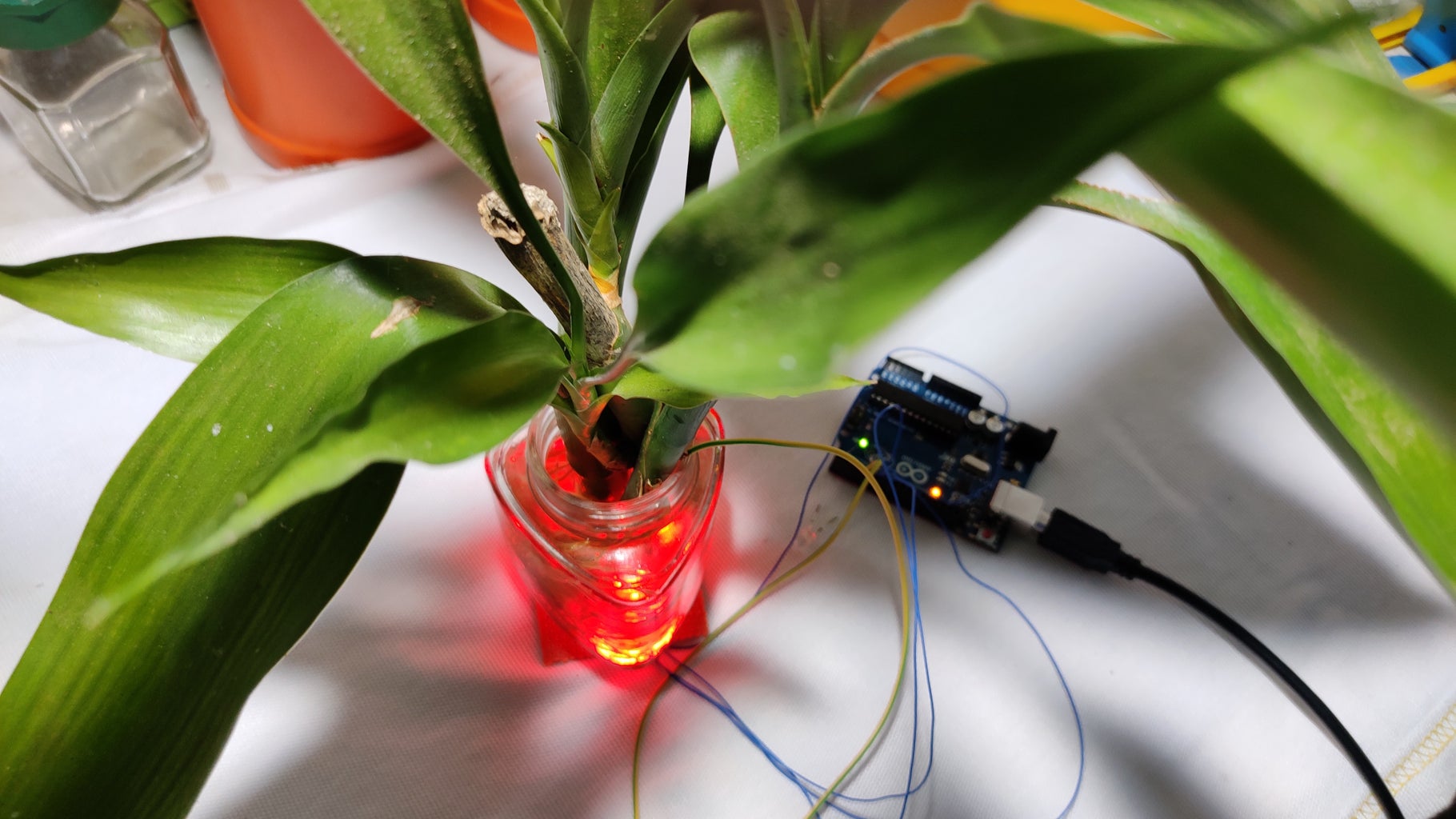 TOUCH SENSITIVE ARDUINO PLANT : 6 Steps - Instructables