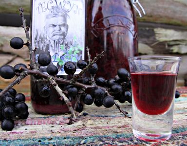 Sugar Free Sloe Gin Recipe
