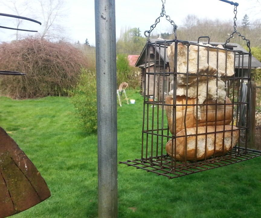 Bird bread feeder