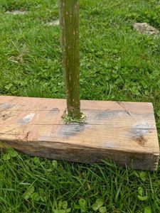 Drill and Varnish 2x4s