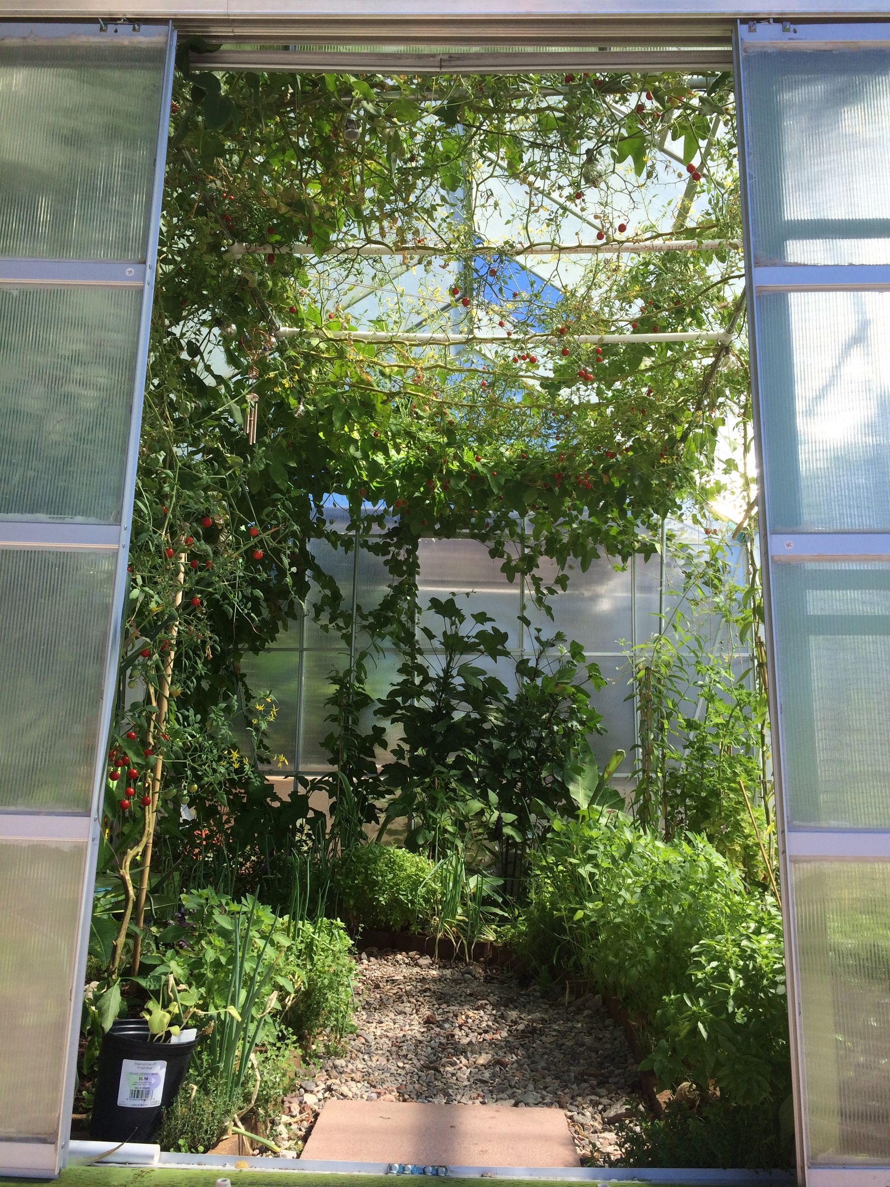 Greenhouse Modifications for Hot Climates 8 Steps (with Pictures