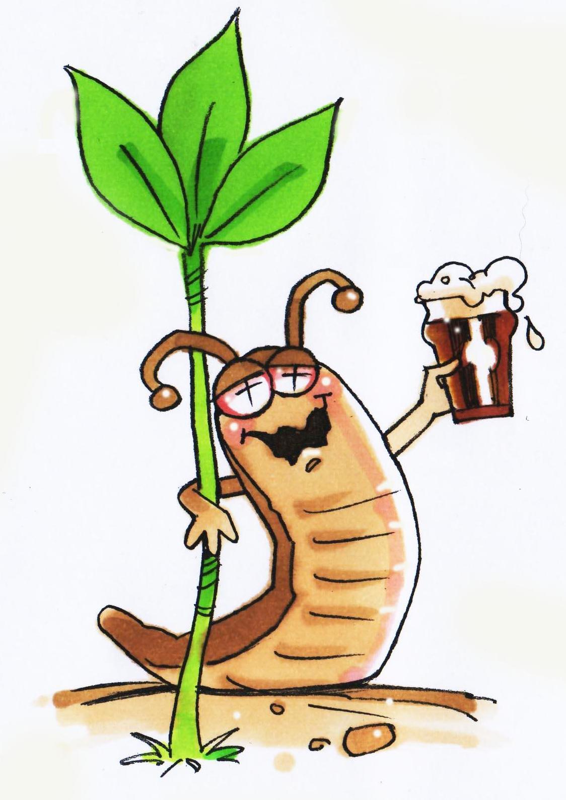 How to Make a Slug Trap