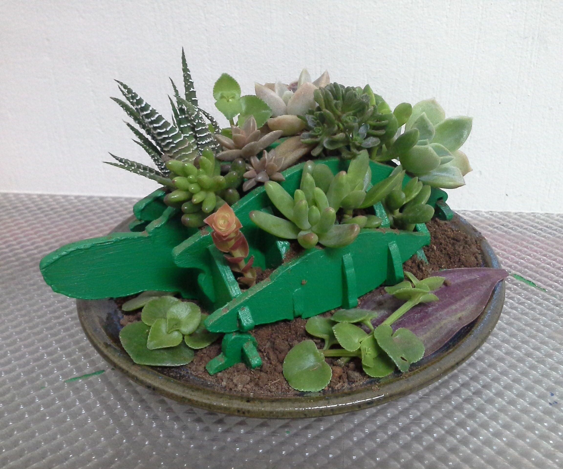 Tortoise Terrarium