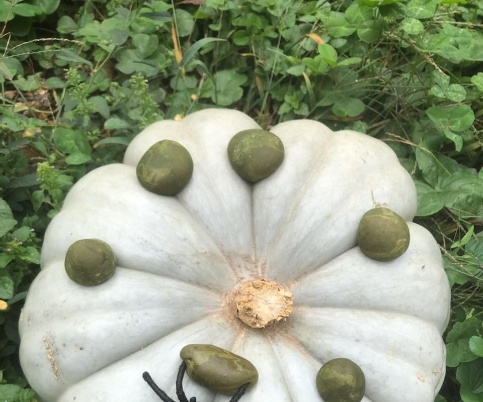 Witches Snot Candy Drops