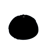 download {{ file.name }}