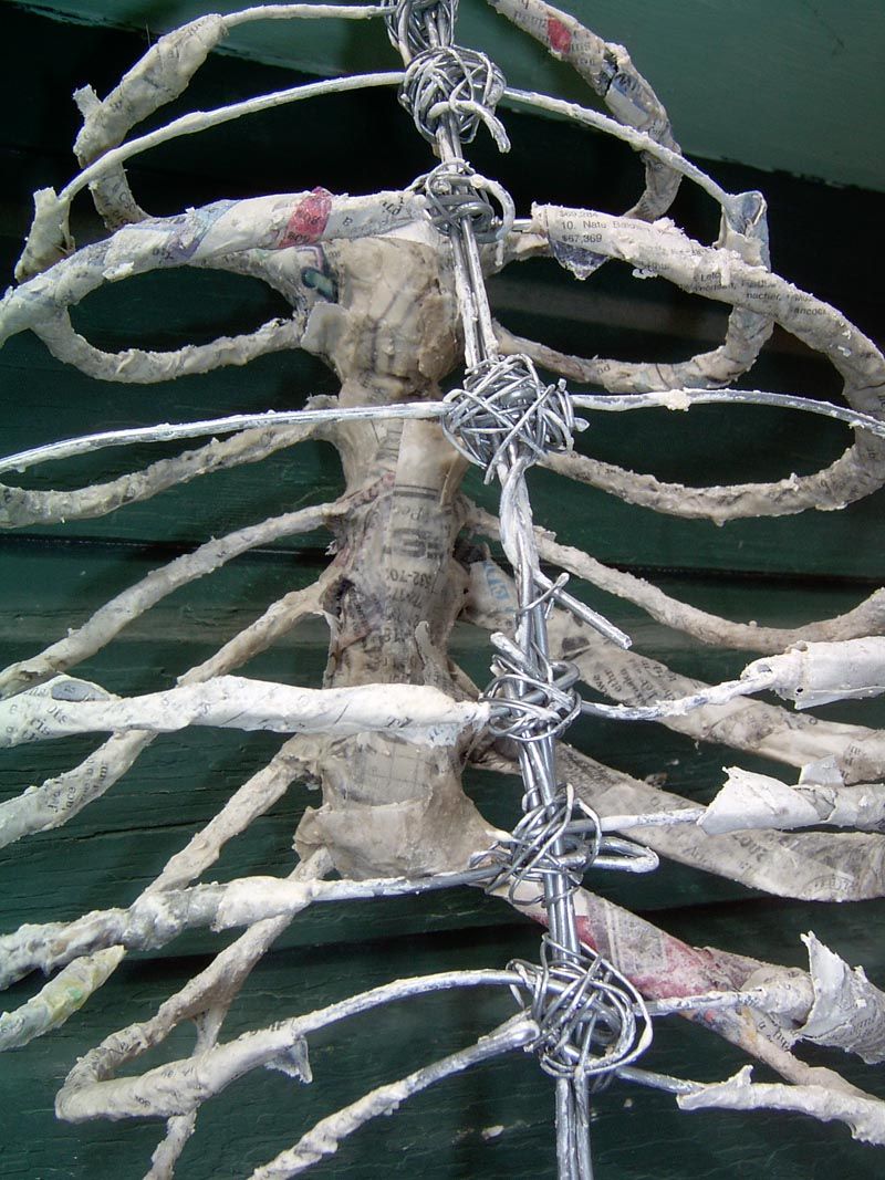 The Ribcage - Paper Mache' & Wire