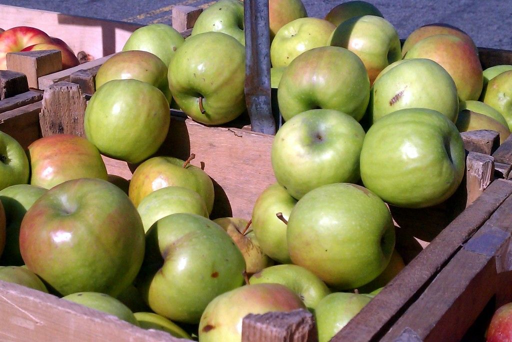 Apple-onion Gasket (pie)