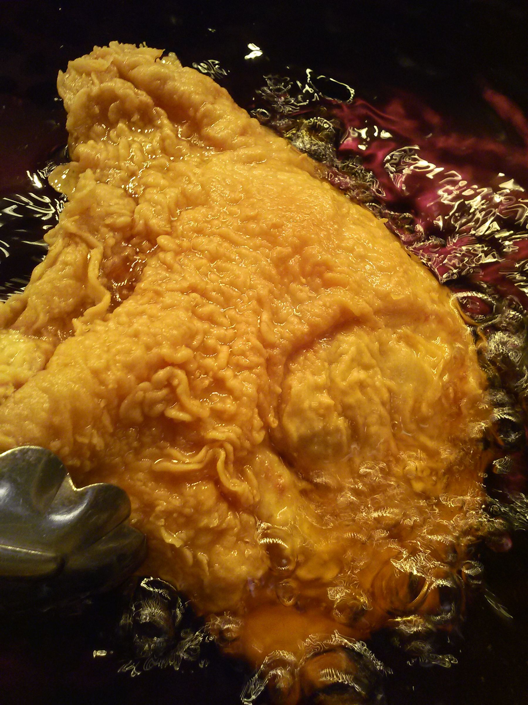 Anatomy of Fried Food