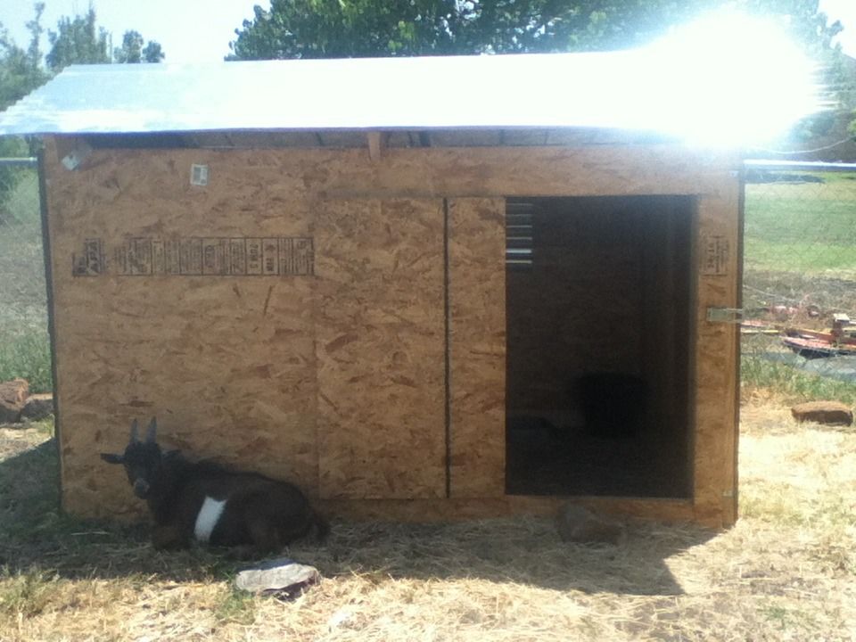 How To Make A Goat Barn/any Barn