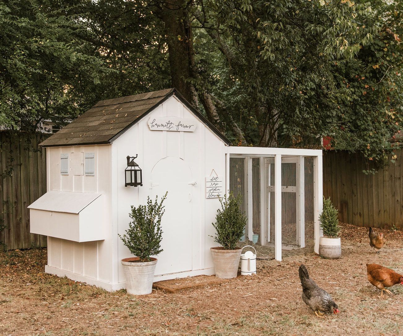 How to Build a Chicken Coop