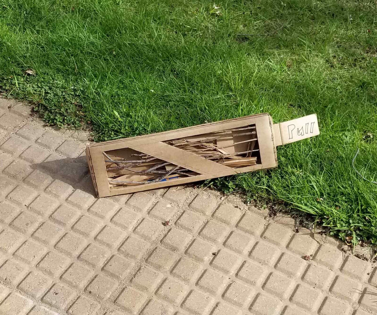 Pyre Log