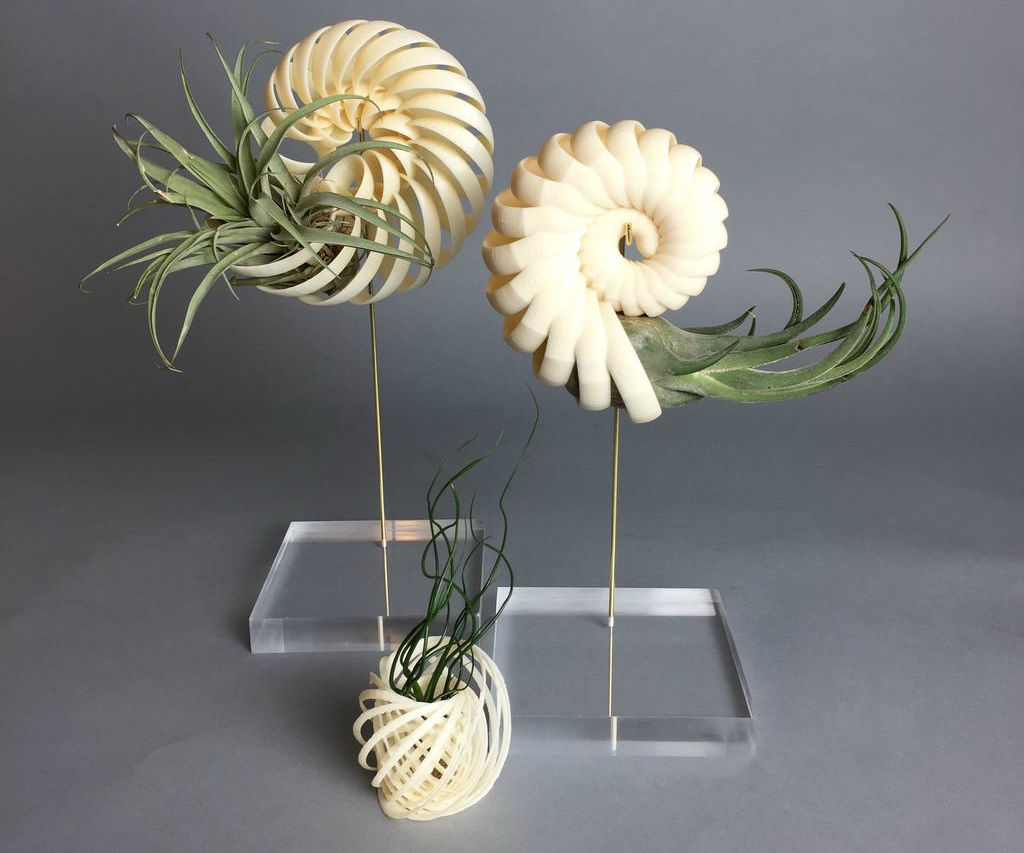 Generating airshells on a web browser