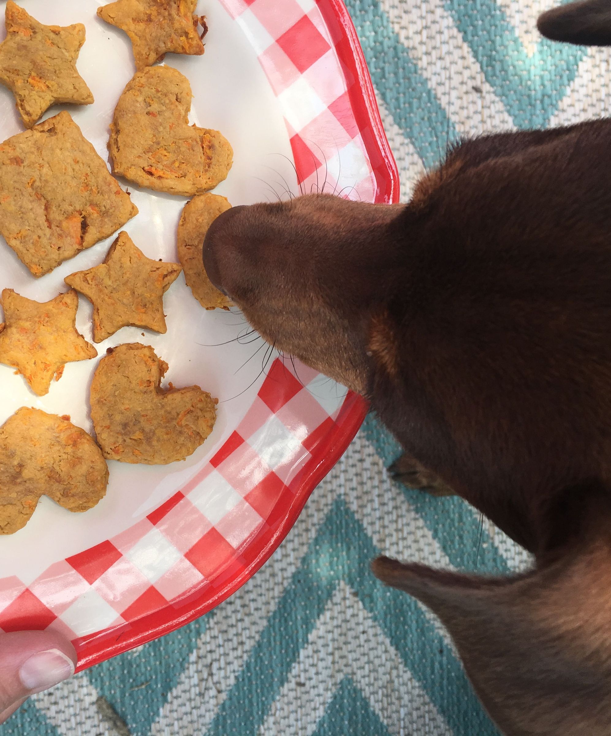 Easy Dog Treats With Three Ingredients 