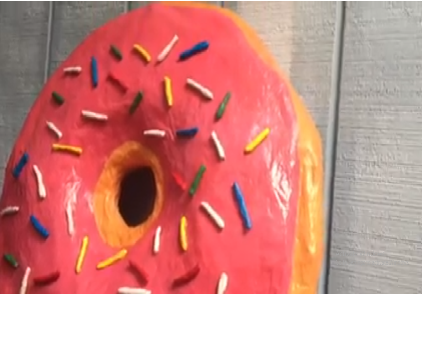 Super Sized Donute !!!